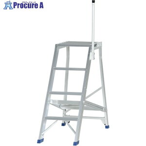 PiCa ��Ƒ�p�I�v�V���� DWS�p�X�^���V����/�K�i�� DWS-STK 1S ����716-0543 �y�����s�x���ρz