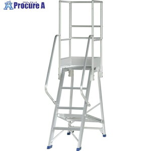 PiCa ��Ƒ�p�I�v�V���� DWS�p�t���Z�b�g�肷�� DWS-TF37 1S ����716-0545 �y�����s�x���ρz