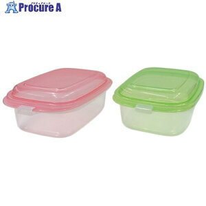 SANKO pla �H�i�ۑ��e�� 219404 �G�u���[�p�b�N �����^ NO.3 2P �J���t�� 208×132×70 219404 48�� ����723-5441 �y�����s�x���ρz