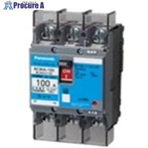 Panasonic �T�[�L�b�g�u���[�J�[ BCWA?100�^ 2P2E100A BCWA2100K 1�� ����716-3246 �y�����s�x���ρz