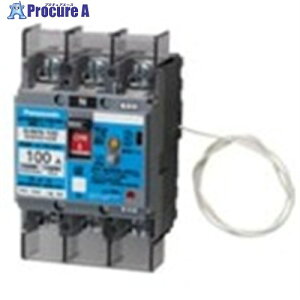 Panasonic �R�d�u���[�J BJWN-100�^ 3P2E 75A 30mA BJWN37531K 1�� ����716-3389 �y�����s�x���ρz