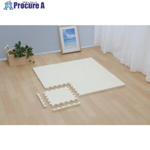 �哇�� �h���W���C���g�}�b�g 30×30×2cm 9���Z�b�g �A�C�{���[ 45846 1S ����724-1835 �y�����s�x���ρz