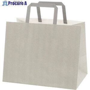 HEIKO ��񂰎��� �t���b�g�`���[���o�b�O ���� 280-1 �G�R�A�b�V�� 003277522 1�� ����708-9240 �y�����s�x���ρz