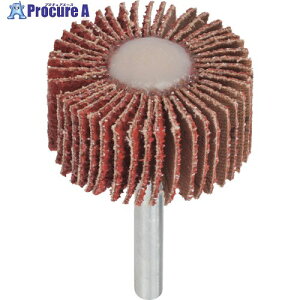 Garryson �y���ؔp�ԁz�t���b�v�z�C�[�� ���a3mm #80 �O�a30mmx��10mm GS3010080 10�� ��362-8403