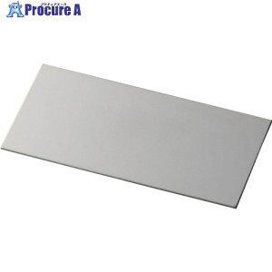 IWATA �V���v���[�g(SUS) 50×100×0.8mm TS50-100-08 1�� ��197-8871