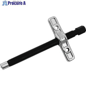 �X�[�p�[ �M���v-��(24�p)�I�l�W�E���l�W�E�A�_�v�^�t GSR24 1S ����813-0737 �y�����s�x���ρz ��YA513