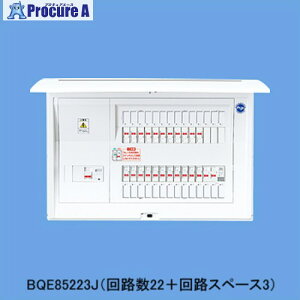 Panasonic �Z��d�� �R�X���p�l�� ���~�b�^�[�X�y�[�X�Ȃ� 100A22�{3 ���z����p BQE810223J 1�� ����730-6824 �y�����s�x���ρz