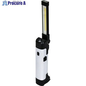 NICHIDO �[�d��LED�n���f�B���C�g �W���b�N�����v LEH�[B10W80CH LEH-B10W80CH 1�� ��679-8755