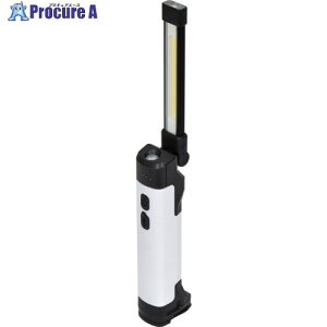 NICHIDO �[�d��LED�n���f�B���C�g �W���b�N�����v LEH�[B5W40CH LEH-B5W40CH 1�� ��679-8756