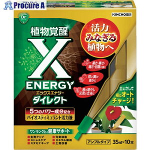 KINCHO���| �o�C�I�X�e�B�~�������g X-ENERGY�_�C���N�g�A���v���^�C�v 35mlX10 239111 1�� ��716-0155
