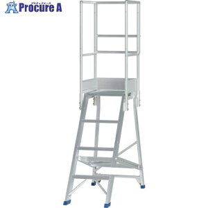 PiCa ��Ƒ�p�I�v�V���� DWS�p�V�O���肷�� DWS-TS 1S ����716-0537 �y�����s�x���ρz