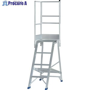 PiCa ��Ƒ�p�I�v�V���� DWS�p�V��L�肷�� DWS-TL 1S ����716-0539 �y�����s�x���ρz