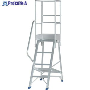 PiCa ��Ƒ�p�I�v�V���� DWS�p�Ў肷��V�O�� DWS-TKS 1S ����716-0540 �y�����s�x���ρz