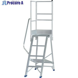 PiCa ��Ƒ�p�I�v�V���� DWS�p�Ў肷��V��L DWS-TKL 1S ����716-0541 �y�����s�x���ρz