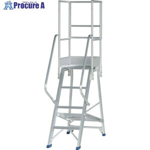 PiCa ��Ƒ�p�I�v�V���� DWS�p�t���Z�b�g�肷�� DWS-TF37 1S ����716-0545 �y�����s�x���ρz