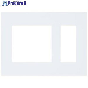 Panasonic ArchiDesign SO-STYLE�v���[�g 2�A�ڌ��{3�R�p �}�b�g�z���C�g WNS6503W 1�� ����735-2100 �y�����s�x���ρz
