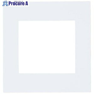 Panasonic ArchiDesign SO-STYLE�v���[�g 2�A�ڌ��p �}�b�g�z���C�g WNS6500W 1�� ����735-3628 �y�����s�x���ρz