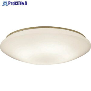 Panasonic LED�V�[�����O���C�g 12���p �d���F ����(�P�F�^�C�v) LGC5113LK 1�� ����714-3339 �y�����s�x���ρz