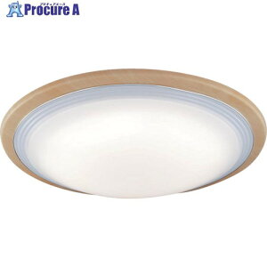 Panasonic LED�V�[�����O���C�g 12���p �����E���F PANELIA �ؐ��g(���C�v�����E�N���[���d�グ) LGC52138 1�� ����714-3356 �y�����s�x���ρz