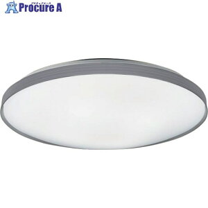 Panasonic LED�V�[�����O���C�g 8���p �����E���F �O���[�J���[ LGC31166 1�� ����714-0161 �y�����s�x���ρz