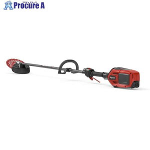 �[�m�A �o�b�e���[���|�������@ BCi260L-PRO 970851001 1�� ����734-7913 �y�����s�x���ρz���l��l����s��