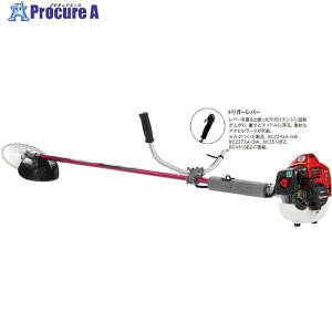 �[�m�A BCZ275A-GW-DC 966798037 1�� ����416-9210 �y�����s�x���ρz���l��l����s��