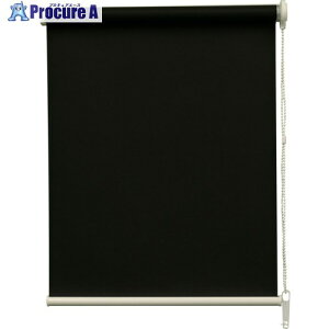 TOSO ���[���X�N���[�� S���[���Ռ� �u���E�� W180cm × H220cm 30016601 1�� ��661-0857