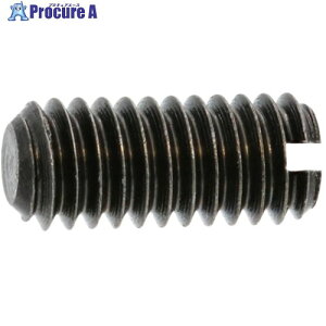 SUNCO �O���u���b�N (-)�~�߃l�W(����) 1.7 X 4.0 (1000�{��) C1000J000017004004 1�� ����602-0798 �y�����s�x���ρz