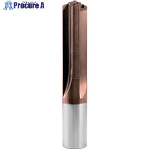 GUHRING ���d4���n�h���� �I�C���z�[���t�� VB 100 P 5xD 31mm 6045 31.000 1�{ ����728-1165 �y�����s�x���ρz