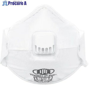 SWS YQD851JP-Pro1 DS2 �h����}�X�N�r�C�ٕt�� 10���� 717711 24�� ����735-6950
