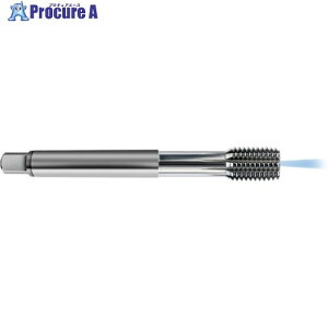 GUHRING �t�H�[�~���O�^�b�v ISO ���[�g���זڂ˂� �A�L�V�����N�[�����g���t�� M14×1.5 8326 14.007 1�{ ����734-5740 �y�����s�x���ρz