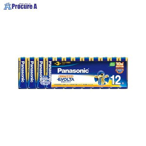 Panasonic G{^P3 12pbN VN LR6EJ/12SW 12793 pi\jbN()a559