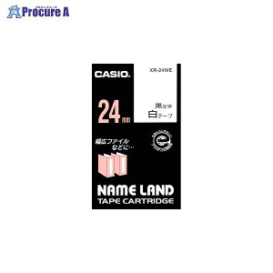 CASIO l[he[v24mm ^ XR-24WE 12810 JVIvZ@()a559