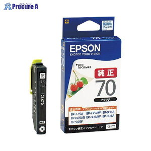 EPSON CNJ[gbW ubN ICBK70 16317 ZCR[Gv\()a559