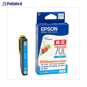 EPSON CNJ[gbW VA yʁz ICC70L ]EE 16325 ZCR[Gv\()a559