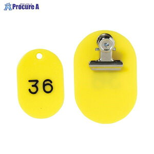 NE PPeqD2g|vsԍA CR-PY50-Y 19898 NEa559