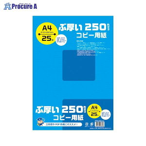 {m[giL Ԍ250gsmRs[pA4 PPC250A4 24249 {m[g()a559
