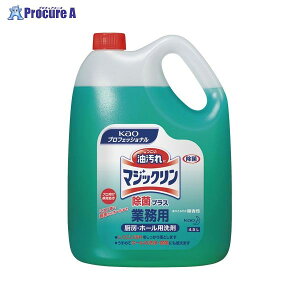 Kao }WbNۃvXƖp 505996 34547 ԉ()a559