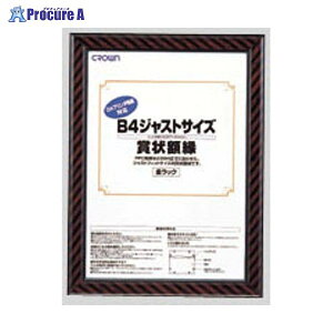 NE WXgTCYz B4 CR-GA9 40402 NEa559