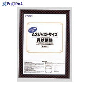 NE WXgTCYz A3 CR-GA10 40403 NEa559