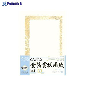 Okina OAΉ܏p A4^e SGA4 40933 ILi()a559