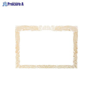 Okina OAΉ܏p A3^e SGA3 40948 ILi()a559