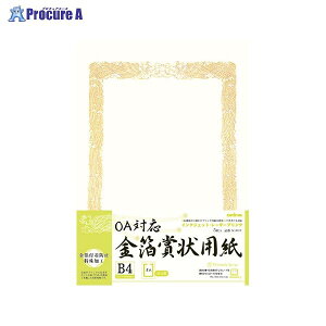 Okina OAΉ܏p B4R SGB4Y 40950 ILi()a559