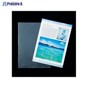 �R���H�� �N���A�z���_�[�n�C�N���X�^��A4 �S�� YG-110-100HC(R) ��52841 �R���H��(��)��a559