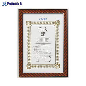 NE zbN CR-GA4 6233 NEa559