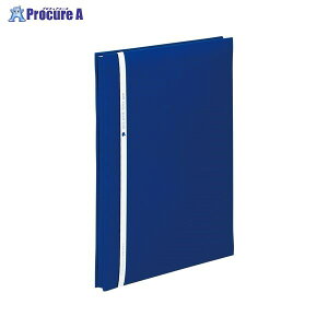 sedia A4 t[Ao lCr[u[ XP-2501-15 68241 ZLZC()a559