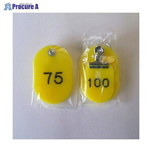 NE eqD 51|100  CR-OY100-Y 6895 NEa559