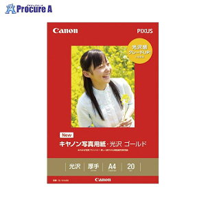 Canon ʐ^pS[hA4 20 GL-101A420 69162 Lm()a559