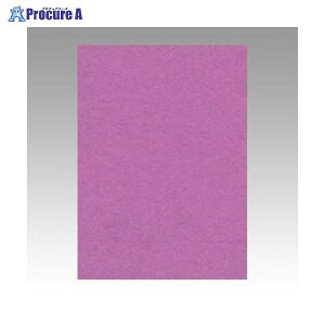 �����e�b�N �j���[�J���[4��100�� �����ނ炳�� GO4NCR-231 ��71962 �����e�b�N(��)��a559
