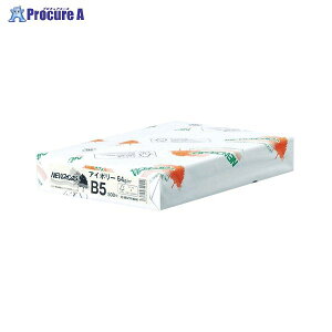 kzIB NEWt@CJ[ B5 500 NEWt@CJ[B5AC{[ 72931 kzR[|[V()a559